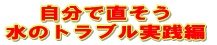 �����Œ����� ���̃g���u�����H��